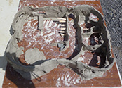 design model